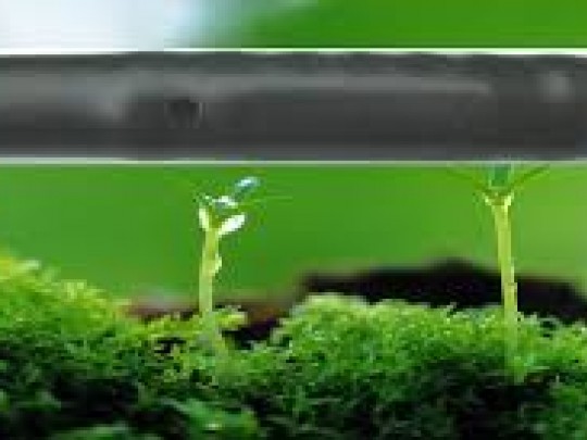 Dryppslange NaanDanJet GardenDrip 16mm 2,2 l/t, 0,5m, 100m