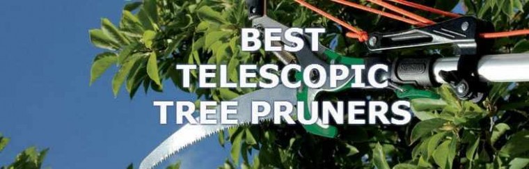 telescopic-tree-pruner