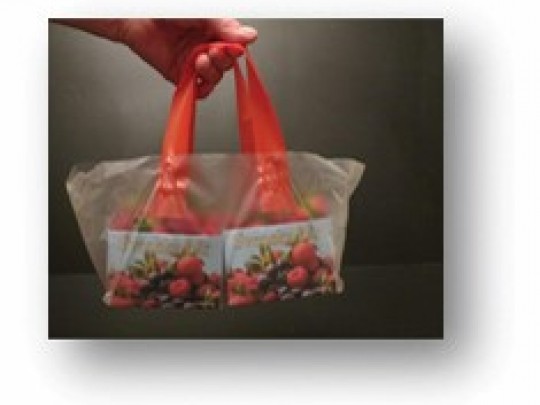 Bærepose strawberry for 2 kurver, 1000 stk