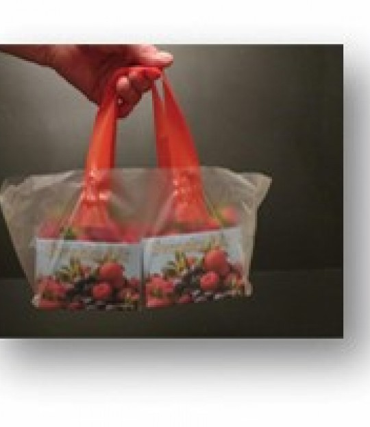 Bærepose strawberry for 2 kurver, 1000 stk